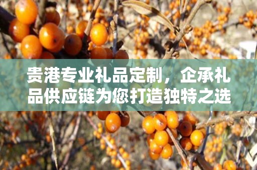 贵港专业礼品定制，企承礼品供应链为您打造独特之选